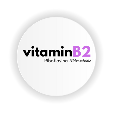 manufacturers of Vitamin B2